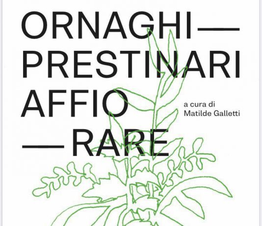 Ornaghi & Prestinari – Affiorare