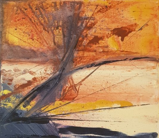 Maria Fausta Pansera – Colori in divenire