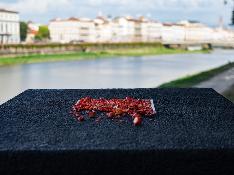 Dolci Carezze di Salehttps://www.exibart.com/repository/media/formidable/11/PSX_20190810_123638-1.jpg