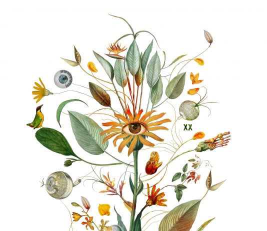Herbarium vagans. Disegni itineranti tra botanica e arte