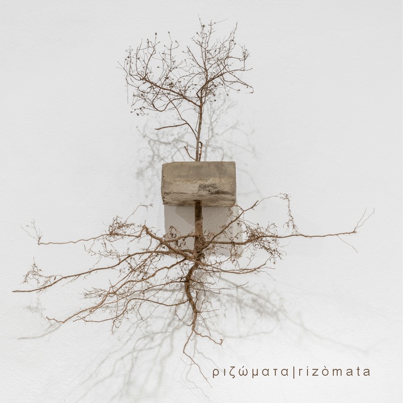 ριζώματα | rizòmatahttps://www.exibart.com/repository/media/formidable/11/Rizomata-Nous-Art-Gallery-San-Gimignano-Art-Gallery.jpg