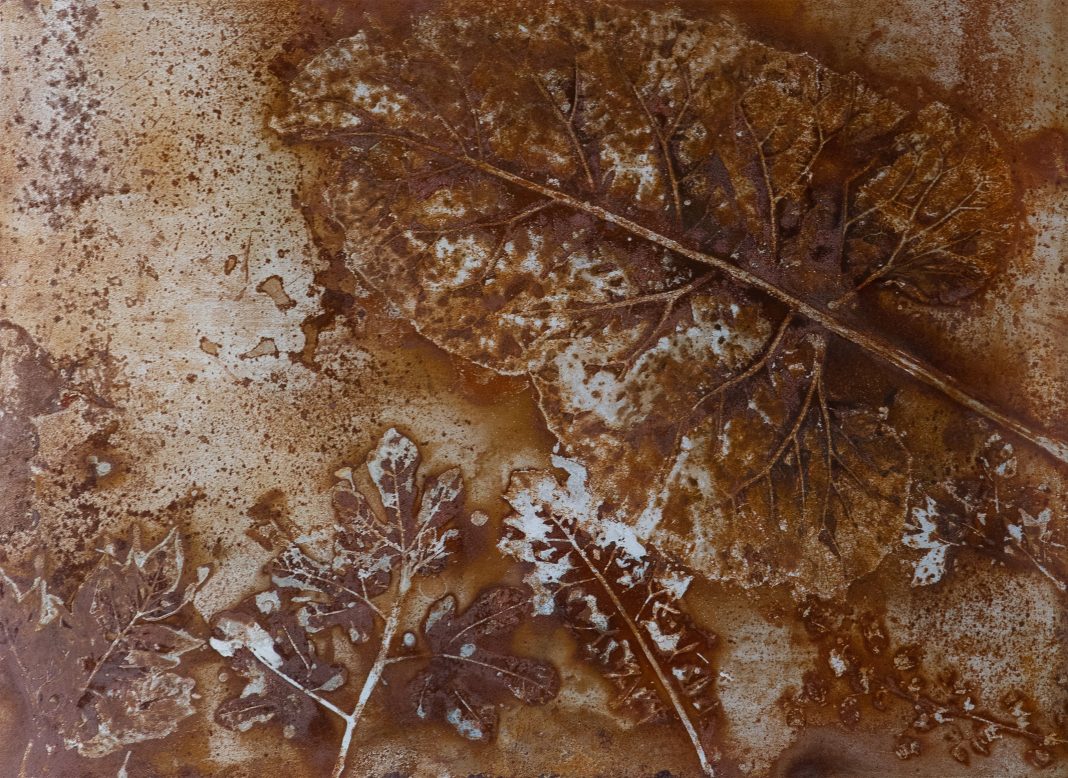 Gabriele Simei – Foliagehttps://www.exibart.com/repository/media/formidable/11/Simei-Opere-10-copia-1068x778.jpg