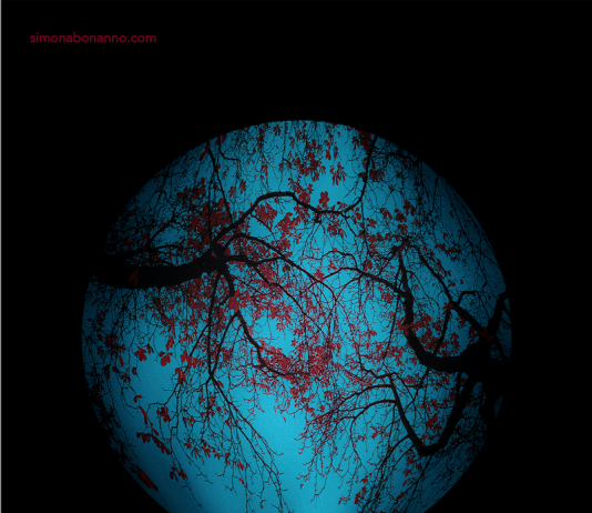 Simona Bonanno – Fotografiche