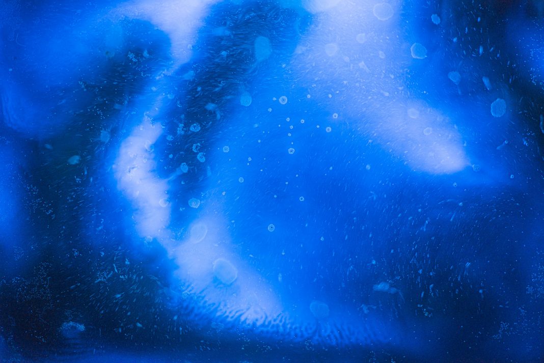 Tommaso Mori – Aeternahttps://www.exibart.com/repository/media/formidable/11/Tommaso-Mori-AETERNA_DSC8205-1068x713.jpg