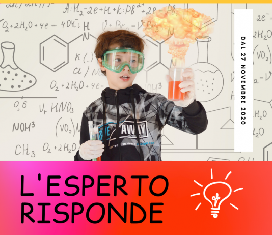 I Musei UniPd per VenetoNight2020