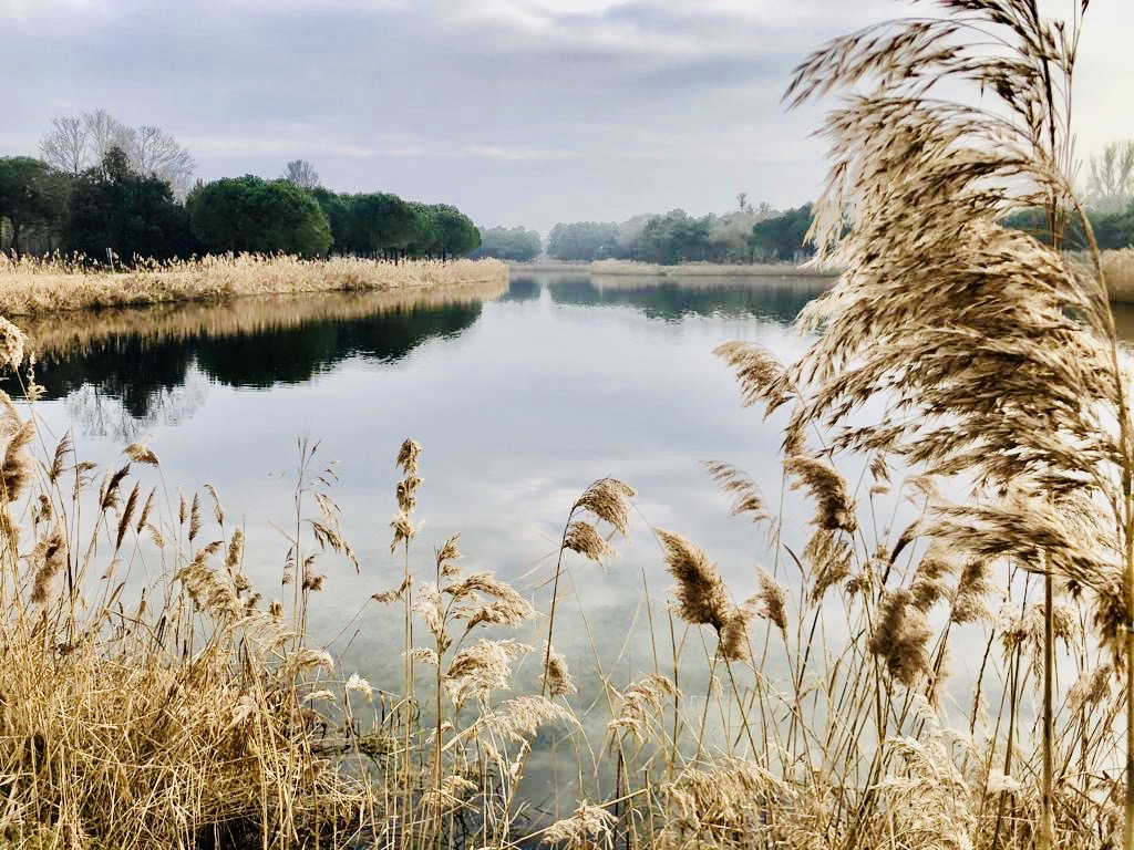 Evoluzioni. Percorso installazioni di Nature Art per l’Isola di Albarellahttps://www.exibart.com/repository/media/formidable/11/d5e3fbcf-3608-43ca-939c-c677d9986f3a.jpg