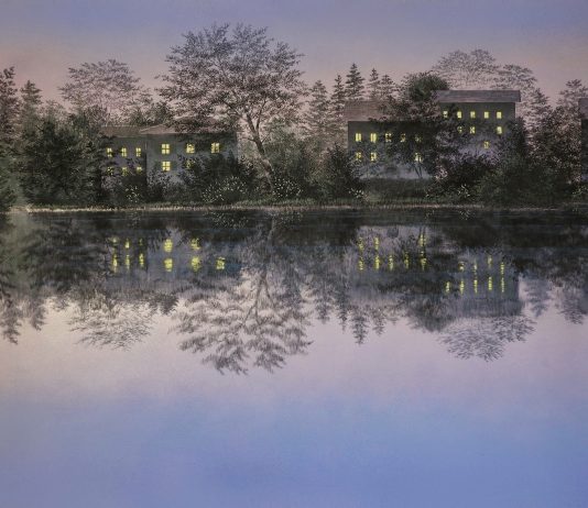 Shoko Okumura – Finestre di Luce nei Boschi