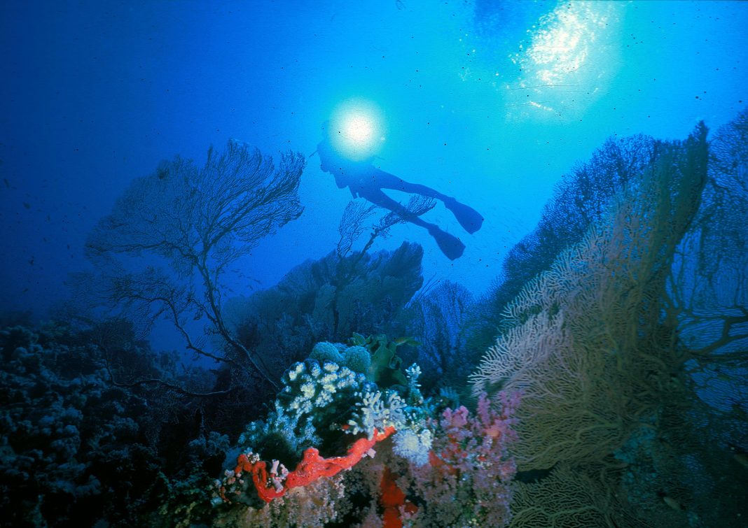 Gianpaolo Prando  –  Rossosubhttps://www.exibart.com/repository/media/formidable/11/foto-di-Gianpaolo-Prando-1068x755.jpg