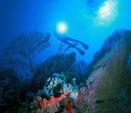 Gianpaolo Prando  –  Rossosub