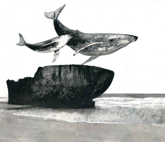 Giorgio Maria Griffa – Cetacea 2. L’incantatore di balene