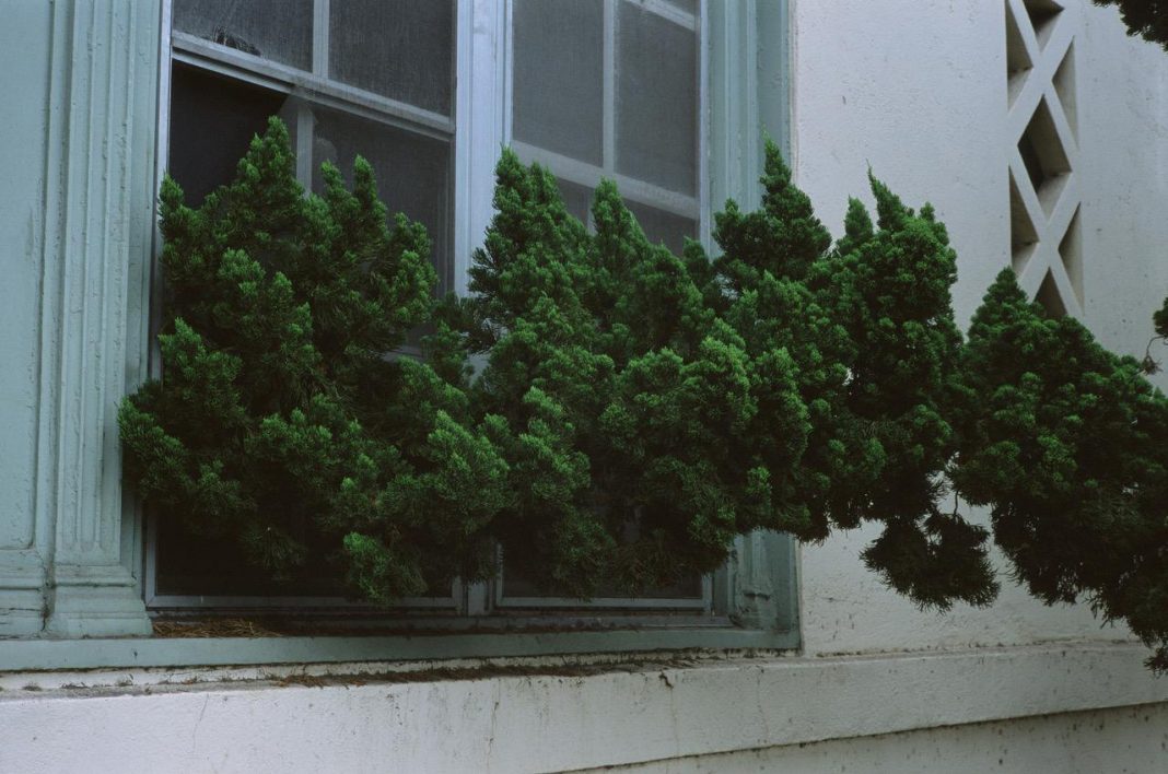 Matthew Smith – Ascensionhttps://www.exibart.com/repository/media/formidable/11/img/028/thumbnail-2-1-1068x708.jpg