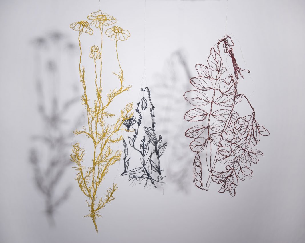 Marina Gasparini – Atlas Xhttps://www.exibart.com/repository/media/formidable/11/img/02b/botanica-compressa-1068x854.jpg