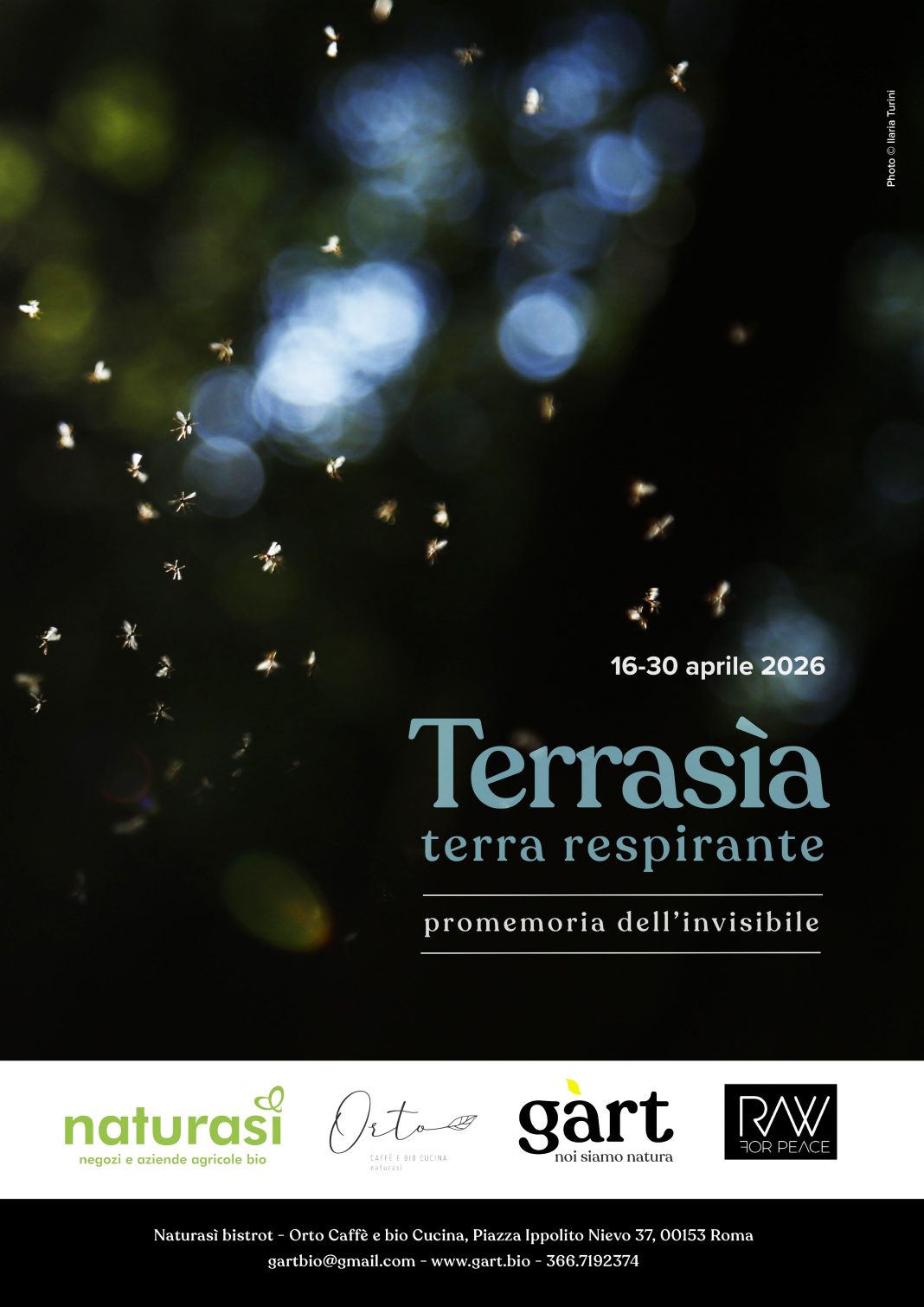 Terrasìa, terra respirante. Promemoria dell’invisibilehttps://www.exibart.com/repository/media/formidable/11/img/03a/IMG_7187-1068x1511.jpeg