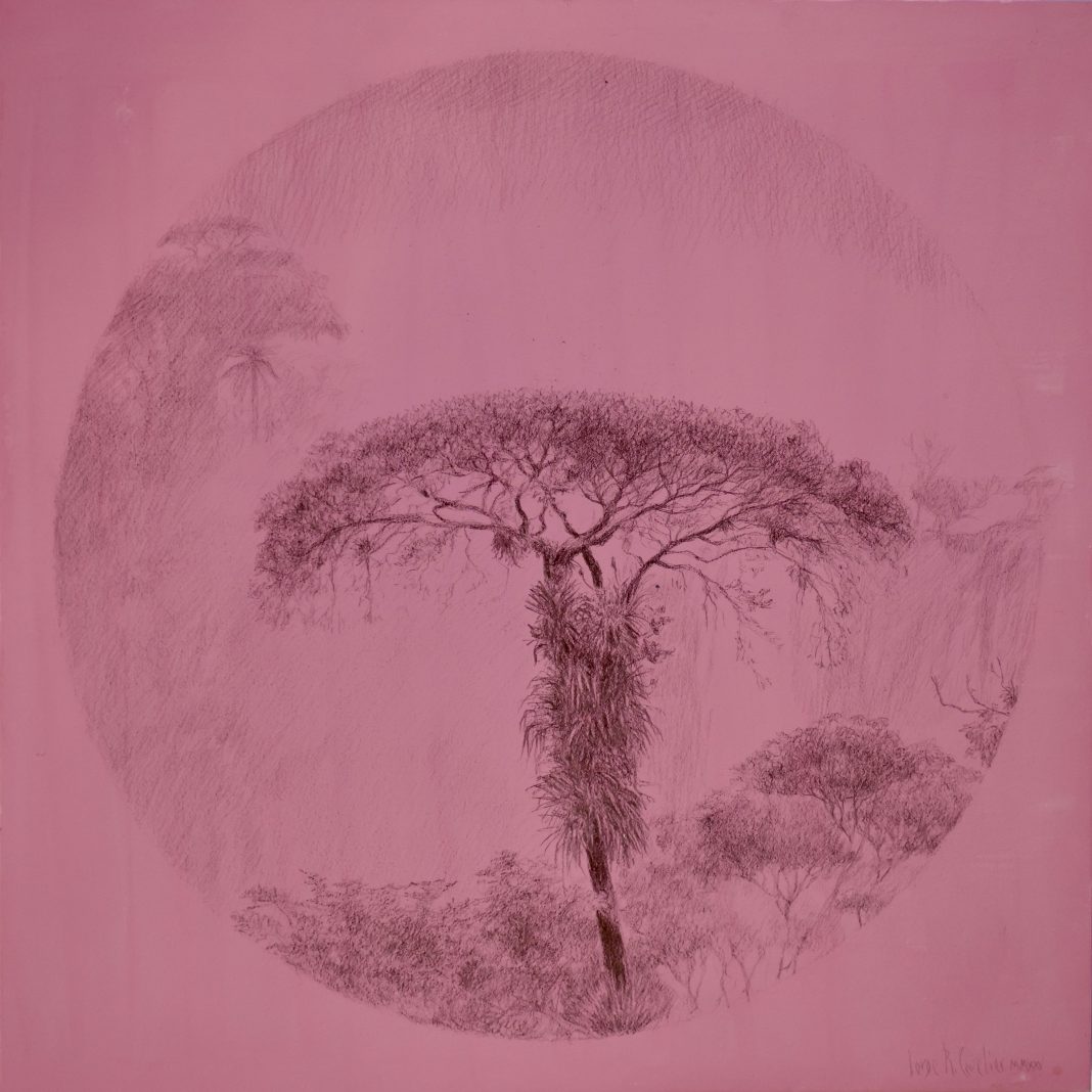 Jorge Cavelier – Il canto dell’acquahttps://www.exibart.com/repository/media/formidable/11/img/049/JORGE-CAVELIER_Vicino-alla-cascata_2025_punta-d’argento-su-tavola_304x304cm-1068x1068.jpg