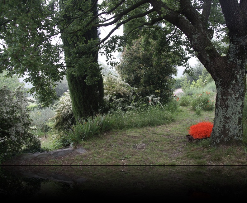 One Minute Tree Revisited 2026https://www.exibart.com/repository/media/formidable/11/img/04b/Nido-sotto-la-quercia.jpg
