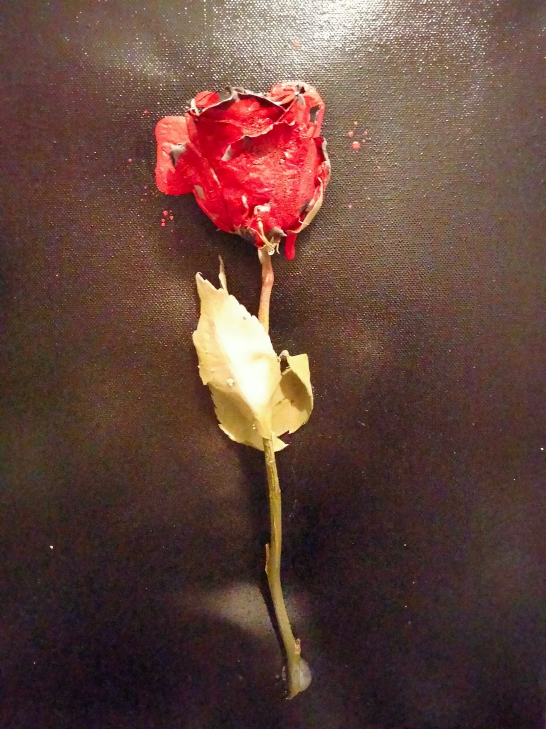 GIANLUCA BAGGUIhttps://www.exibart.com/repository/media/formidable/11/img/04f/PHOTO-2025-02-23-18-18-47-2-1068x1424.jpg