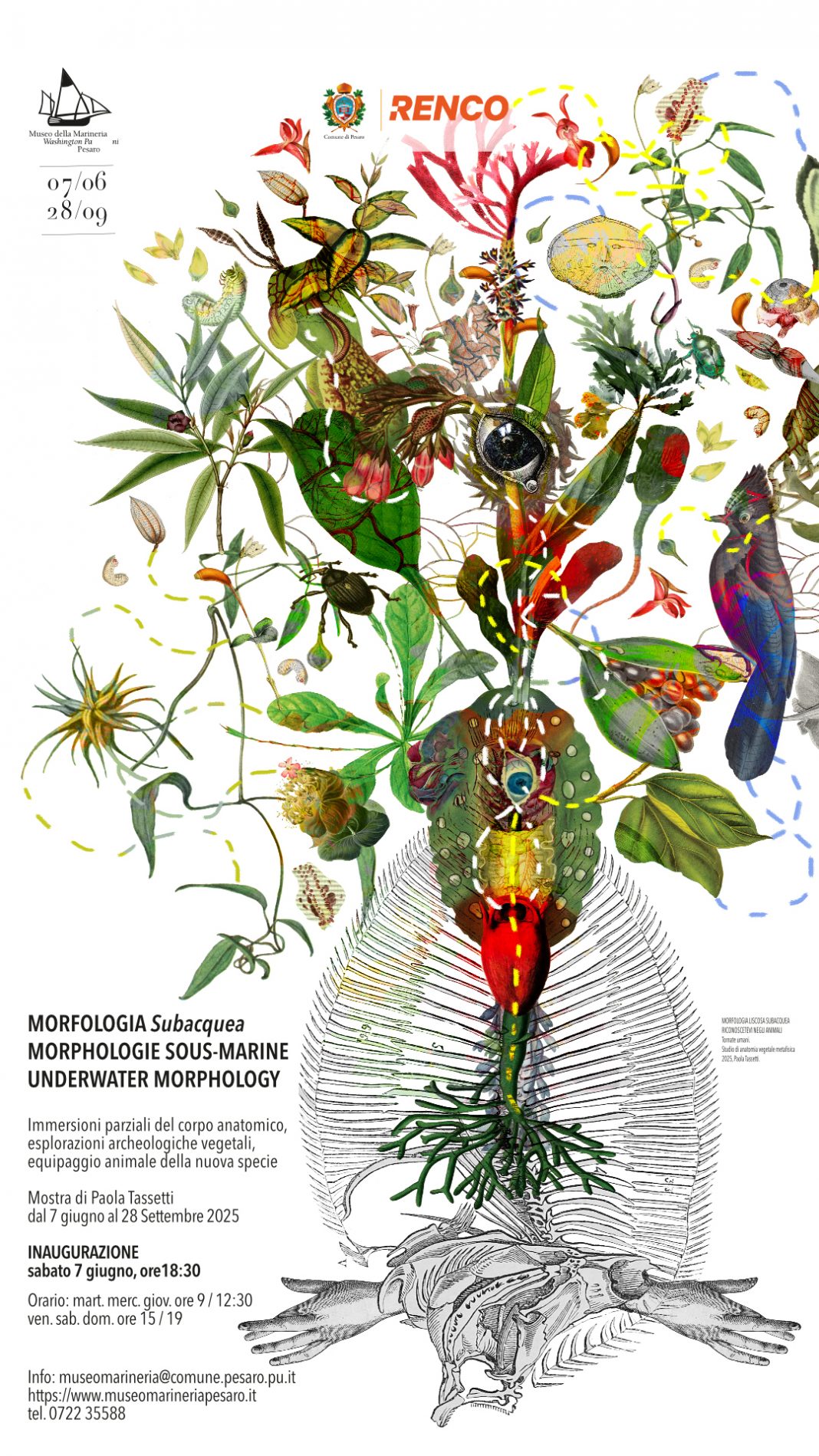 MORFOLOGIA SUBACQUEA MORPHOLOGIE SOUS-MARINE UNDERWATER MORPHOLOGYhttps://www.exibart.com/repository/media/formidable/11/img/061/MorfologiaSubaPesaro_7GiugnoPaolaTassetti-Locandina-1068x1899.jpg