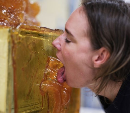 Andrea Ferrero – Nunca supe si estaba sognando Andrea Ferrero – Nunca supe si estaba sognando