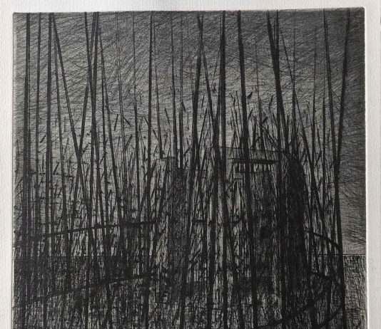 Paolo Gobbi – Viaggio nell’ombra Paolo Gobbi – Viaggio nell’ombra