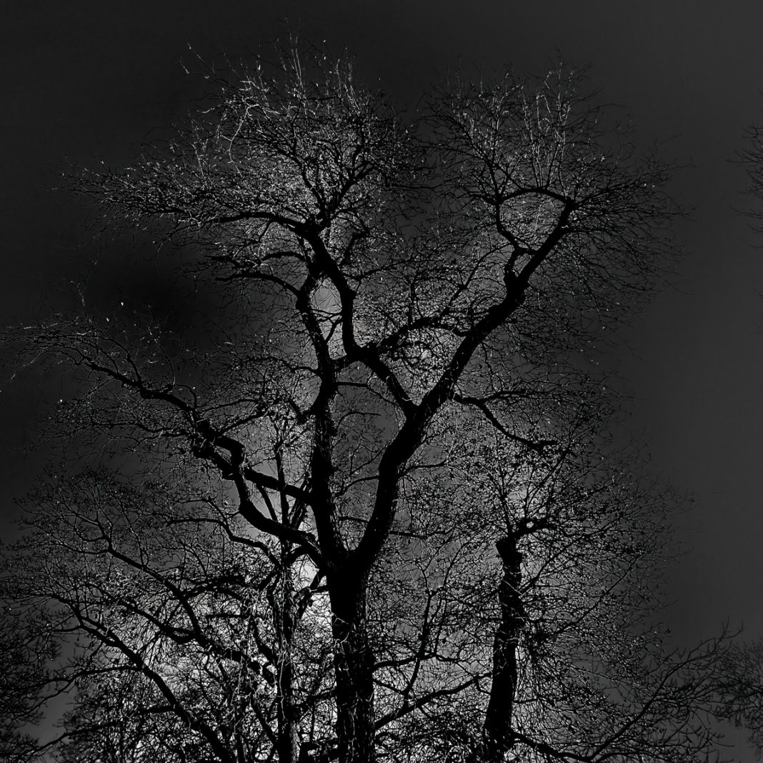 Anna Caterina Masotti – A SINGLE MOMENT. L’Immortalità dell’Attimo nella Natura e nell’Umanitàhttps://www.exibart.com/repository/media/formidable/11/img/093/Luce_Nascosta_Ottobre_2023_ColliinRomagna11-immagine-guida-1068x1068.jpg