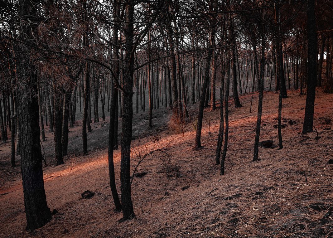 Vesuvio, 11 luglio 2017https://www.exibart.com/repository/media/formidable/11/img/09a/Maurizo-Esposito_Vesuvio-11-luglio-2017_MANN_foto-2-1068x763.jpg
