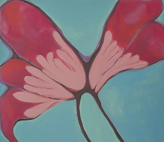 Cristiana Battistella – La stanza delle farfalle