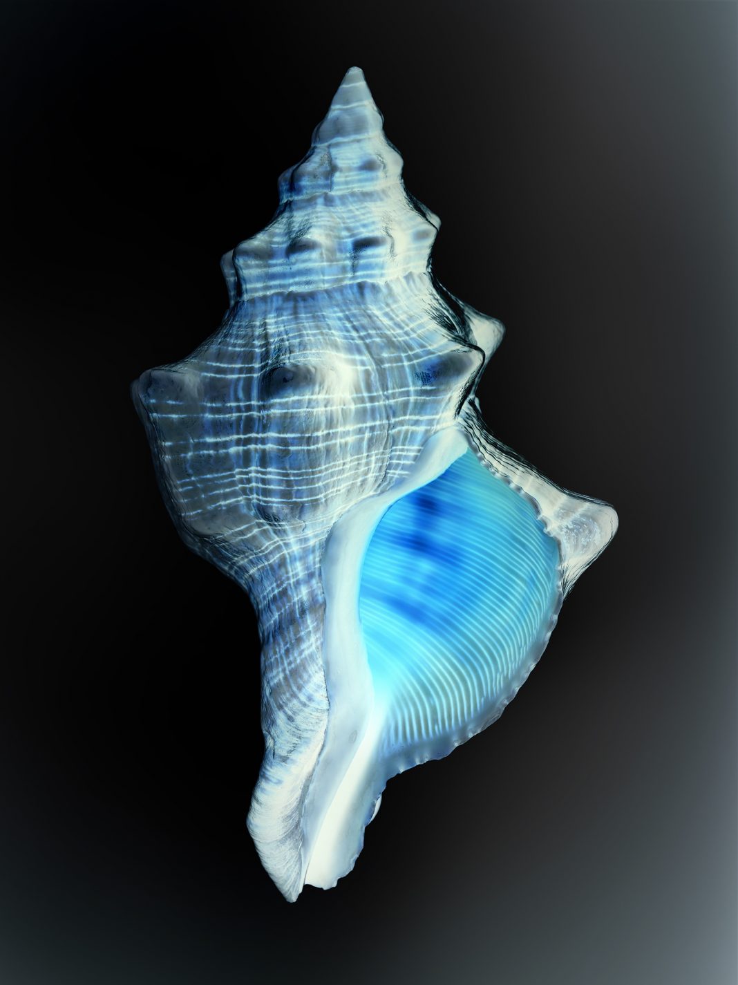 Gioberto Noro – Sulla Fotografia (analogie e figure del dissimile)https://www.exibart.com/repository/media/formidable/11/img/0a8/Metacromie-à-rebours-1_2021-1068x1425.jpg