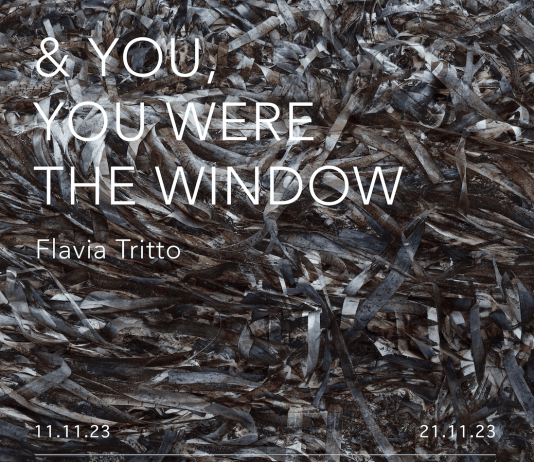 & YOU, YOU WERE THE WINDOW di FLAVIA TRITTO