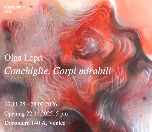 Conchiglie. Corpi mirabili Conchiglie. Corpi mirabili