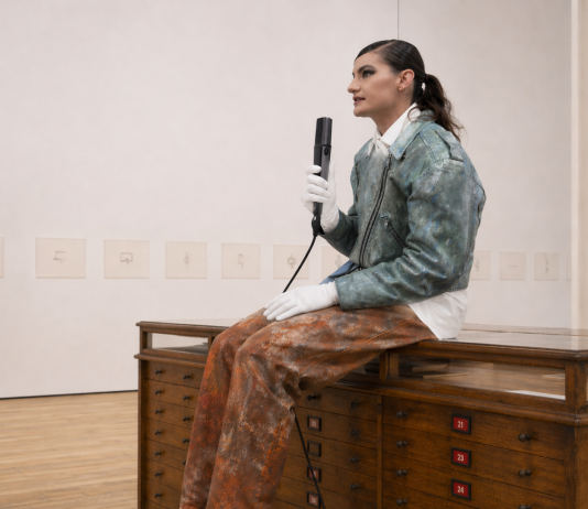 Maïa Lacoustille – Cabinet Institute. Toutité Ballet