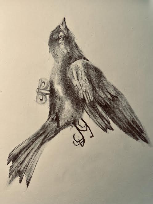 Bestiario-cosmogonia della disarmoniahttps://www.exibart.com/repository/media/formidable/11/img/0d4/INRI-2.jpg