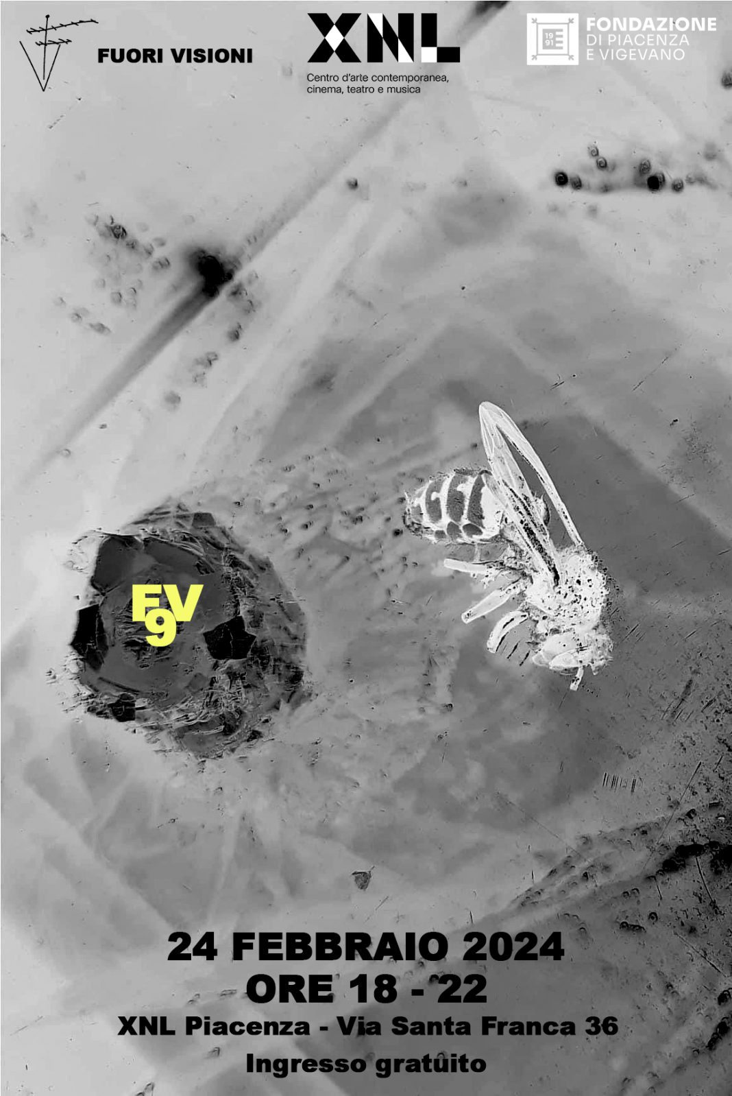 FV9https://www.exibart.com/repository/media/formidable/11/img/0dc/FV9_LOCANDINA_FEBBRAIO2024-1068x1598.jpg