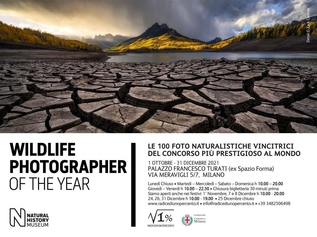 Wildlife Photographer of the Year 2021https://www.exibart.com/repository/media/formidable/11/img/0e2/Locandina-WPY-2021-MI-paesaggio-orizzontale-1068x799.jpg