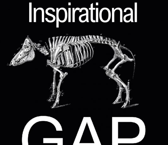 GAP IX Residency