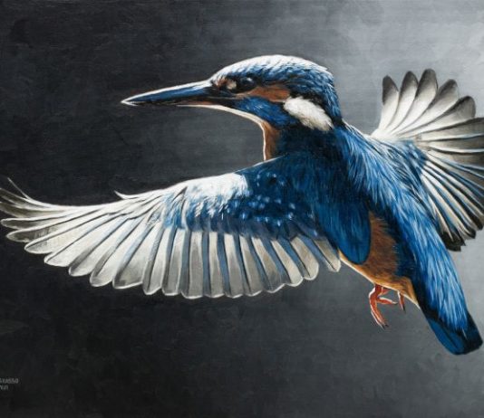 Marco Grasso – Wild by Design