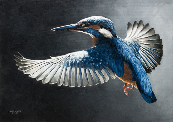 Marco Grasso – Wild by Designhttps://www.exibart.com/repository/media/formidable/11/img/10a/s5vVMRvQ.jpg