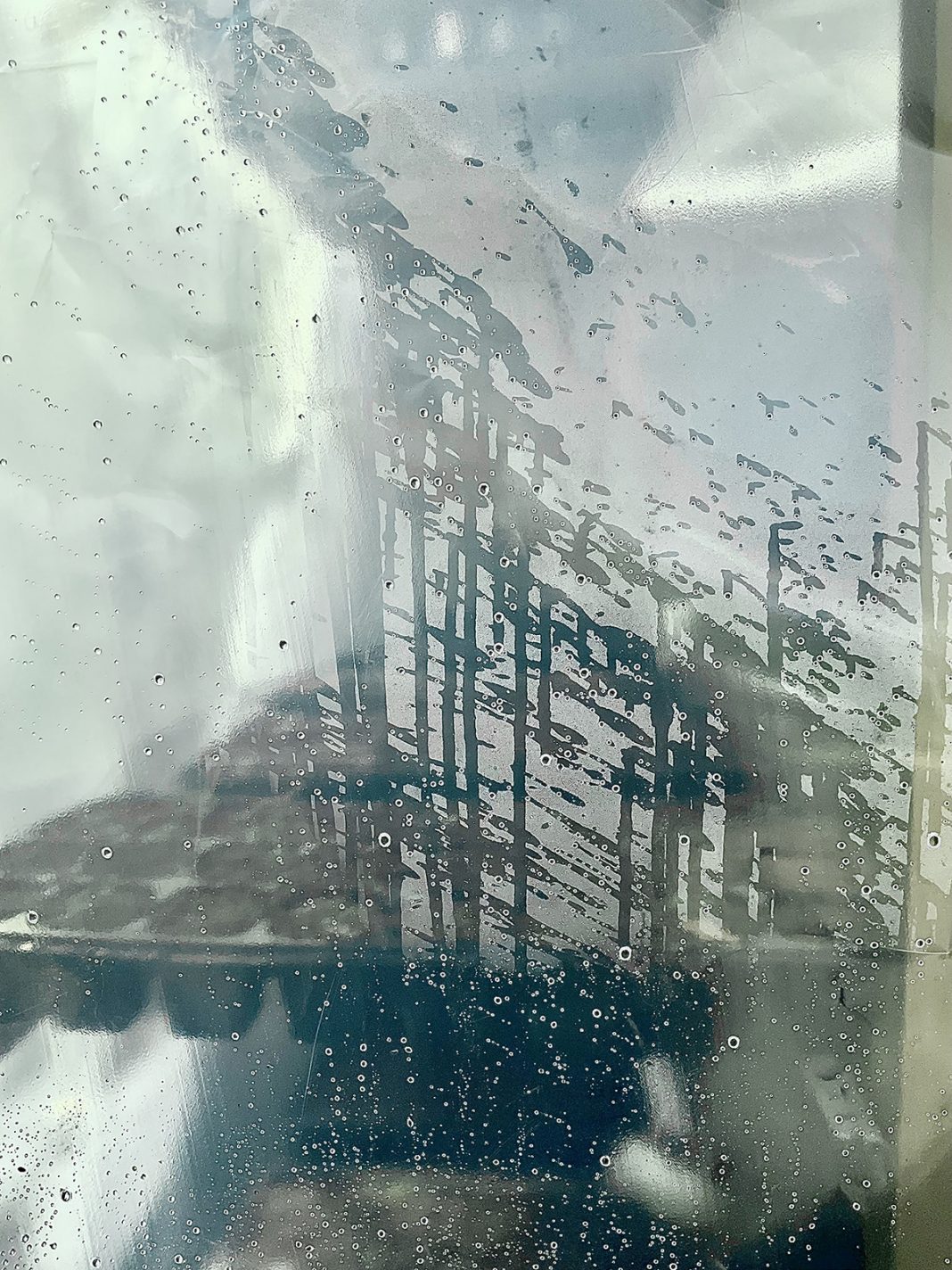 Mohsen Baghernejad Moghanjooghi – Cellulahttps://www.exibart.com/repository/media/formidable/11/img/12e/Mohsen_Baghernejad_Cellula_-1068x1424.jpeg