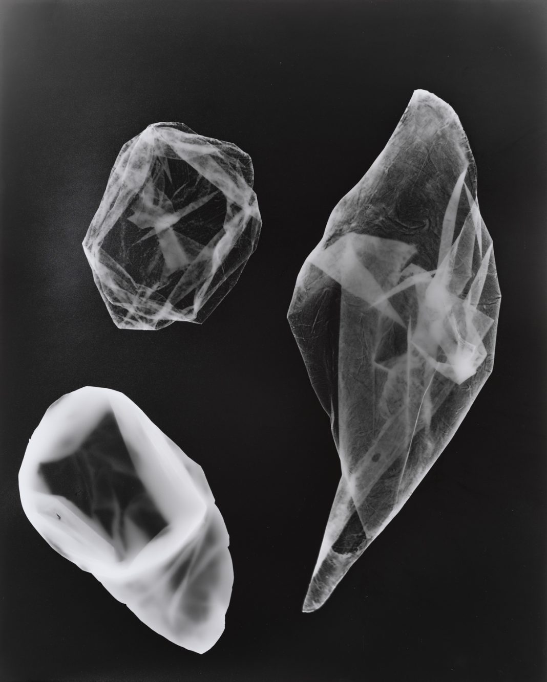 Cati Bestard Rotger – To Avoid an Infinite Loop – Act III: Nothing Disappearshttps://www.exibart.com/repository/media/formidable/11/img/132/Cati.Bestard.Rotger.Act_.III_-1068x1333.jpg