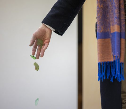 Non tutto ciò che è ferito vuole sparire