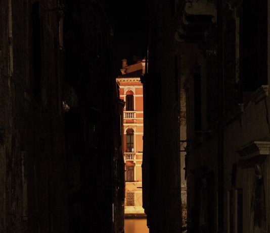 Fulvio Orsenigo – Venezia Verticale