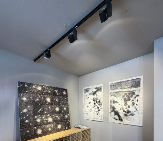 Davide Maggioni / Nicolò Quirico – ArtLink n.5 Davide Maggioni / Nicolò Quirico – ArtLink n.5