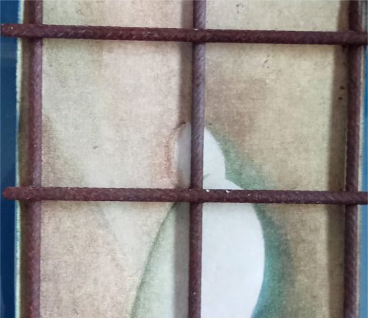 Psycroma – Meraviglia