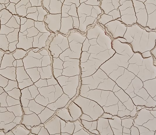 Lorenzo Nardi – Certezze Irrazionali