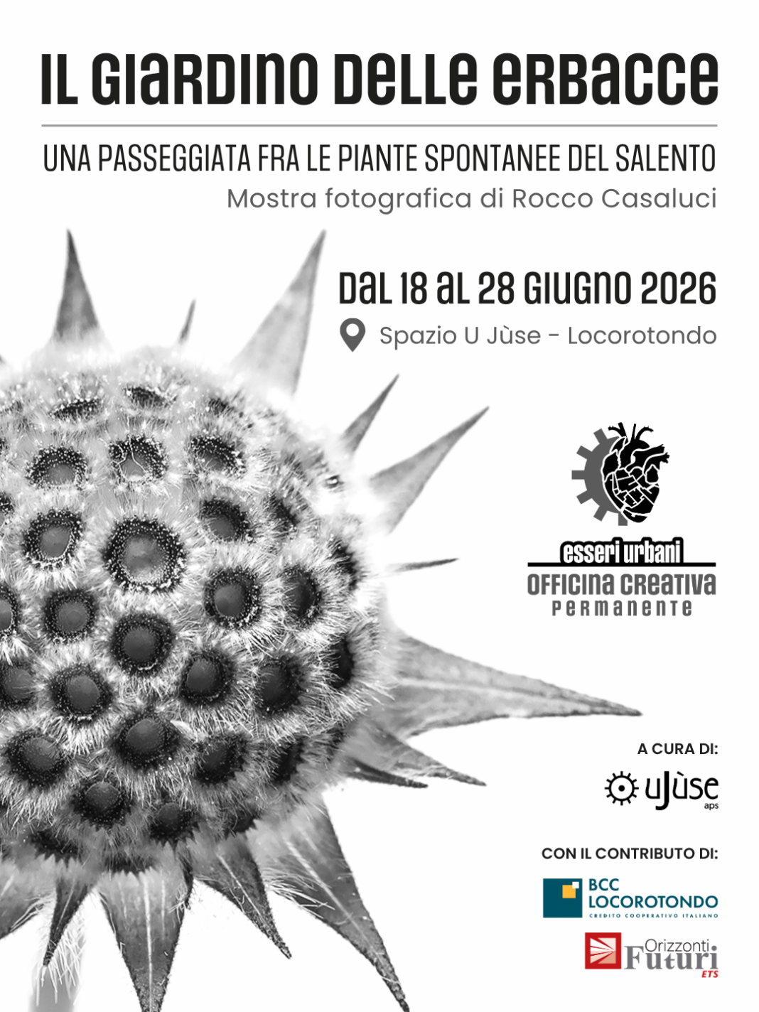 Esseri Urbani 2026. Il giardino delle erbaccehttps://www.exibart.com/repository/media/formidable/11/img/140/Post-1068x1424.png