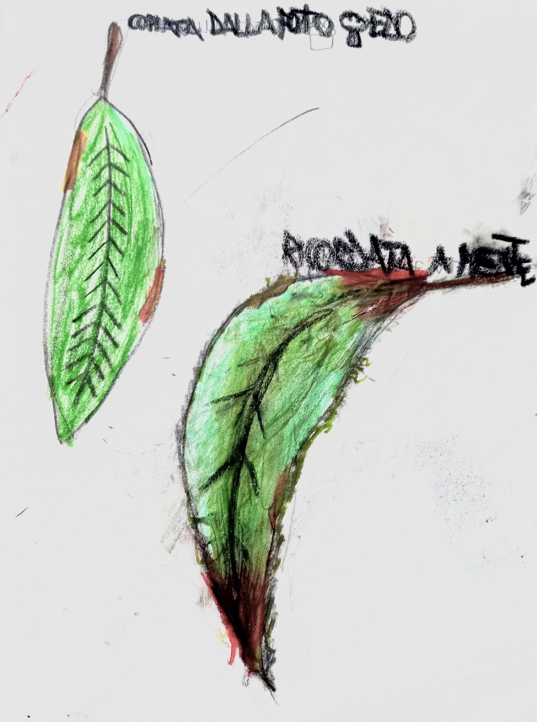 IUNO X VILLA MEDICIhttps://www.exibart.com/repository/media/formidable/11/img/14c/8482b1de-1b57-434d-ad28-3bf13e0ef0fa-1068x1436.jpg