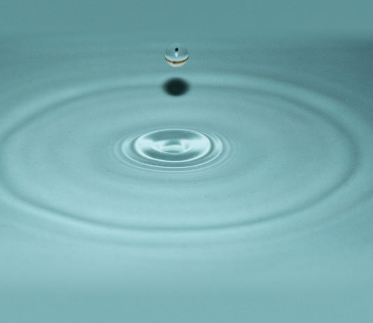 Francesco Loliva – Quando lo sguardo si ferma