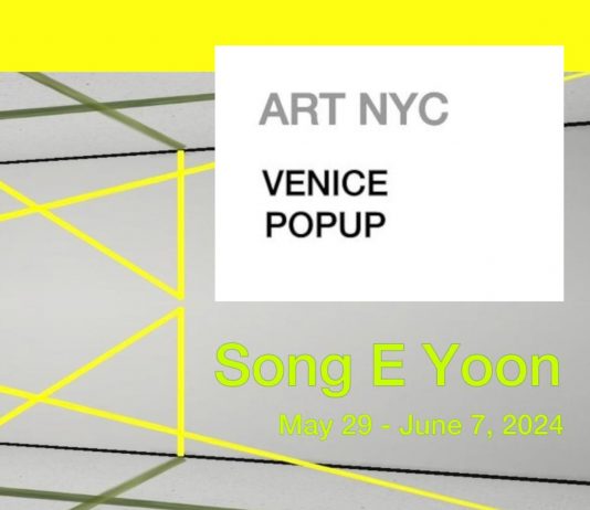 Song E Yoon – Deviant Sublime