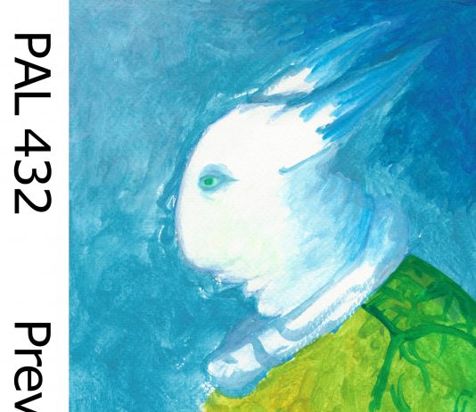 Simona Ruggeri – Preview PAL 432