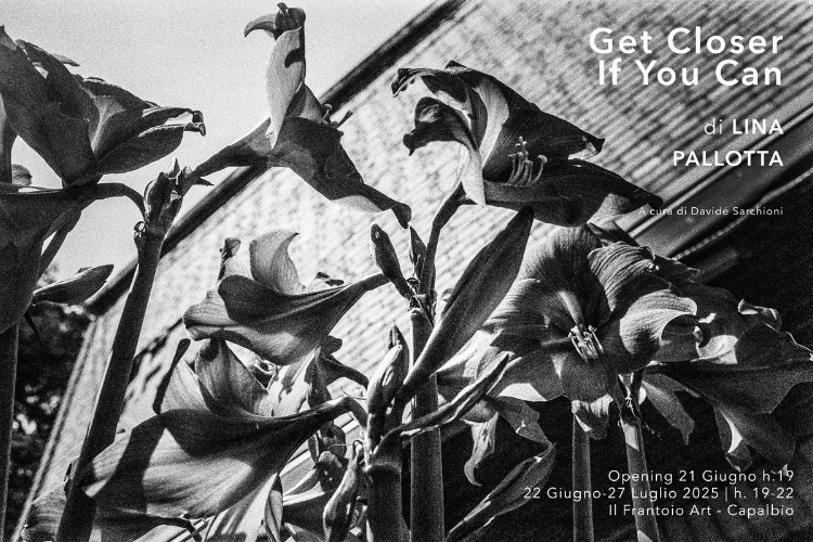 Get Closer If You Canhttps://www.exibart.com/repository/media/formidable/11/img/16a/lina-pallotta.png