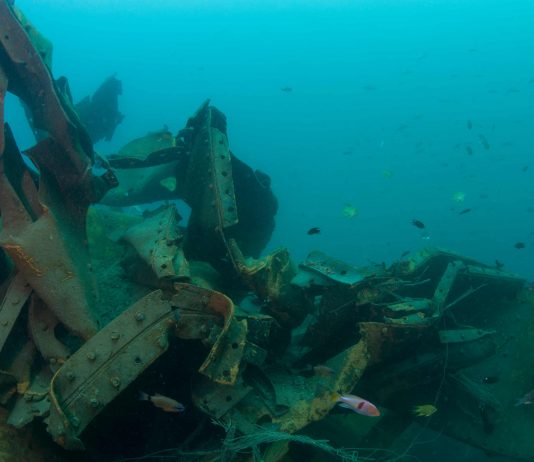 Dominique White – Destruction of Order